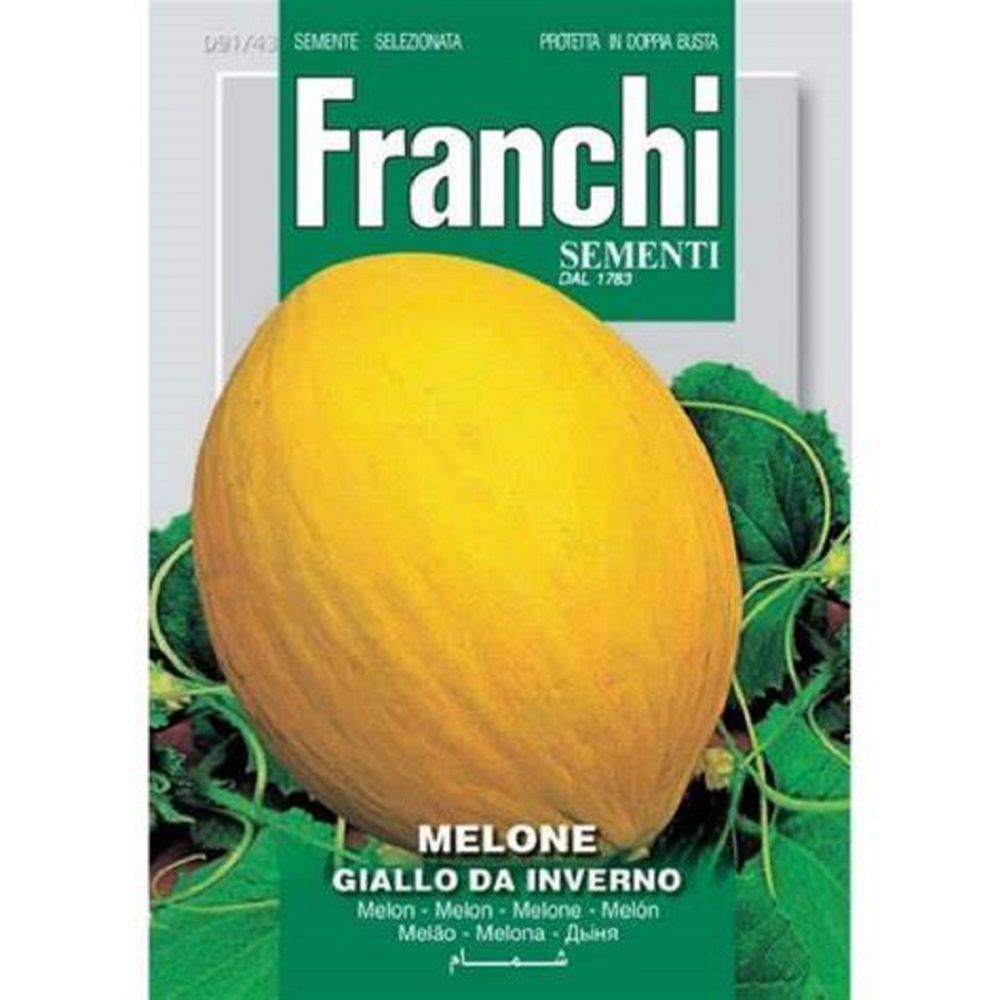 Melone Giallo (Melon)